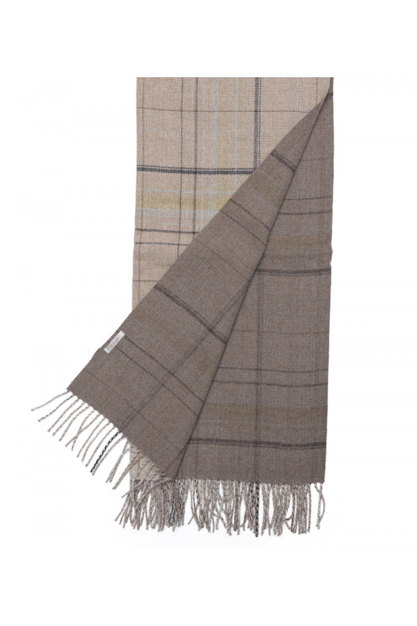 SCARF WITH CHECK DETAILS (65X180) 