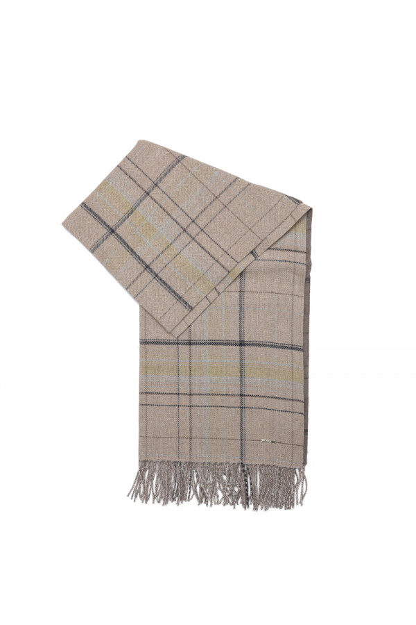 SCARF WITH CHECK DETAILS (65X180) 