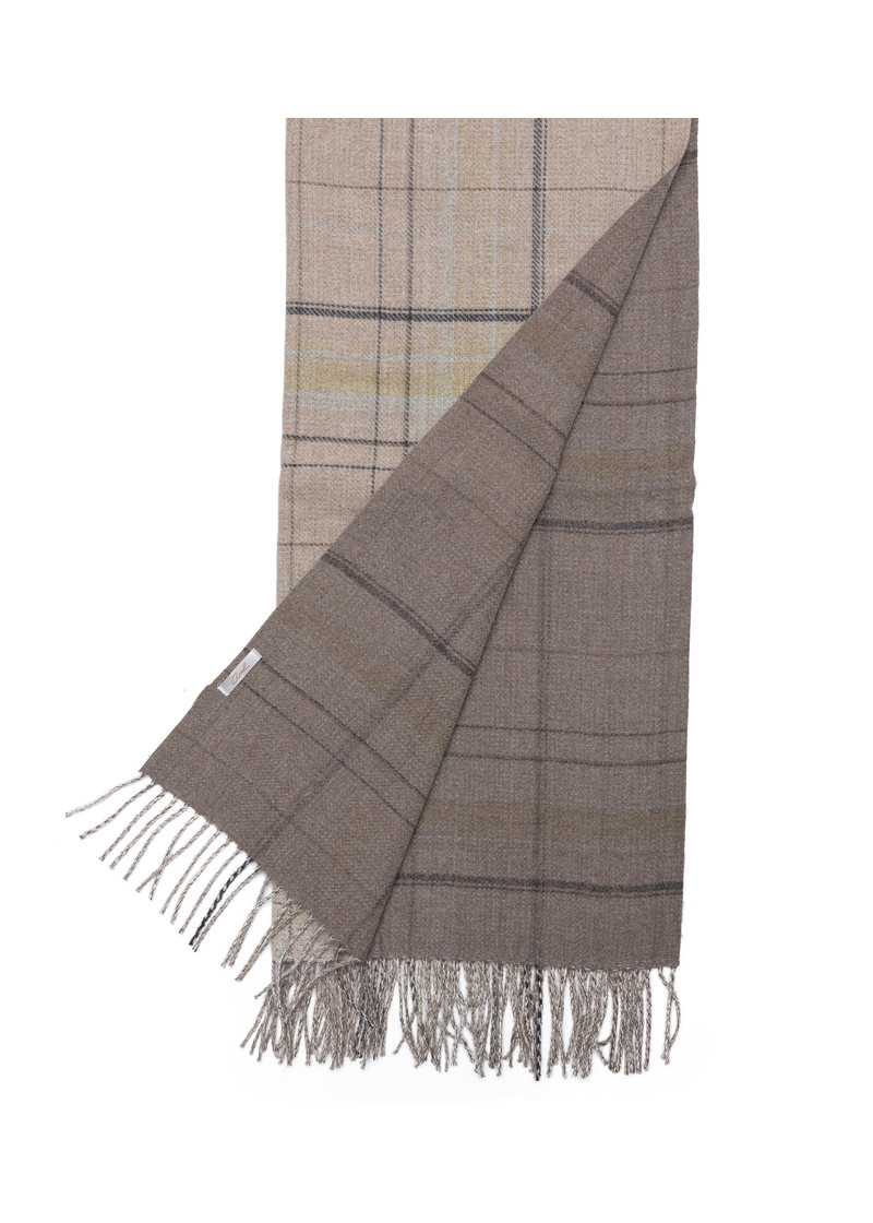 SCARF WITH CHECK DETAILS (65X180) 